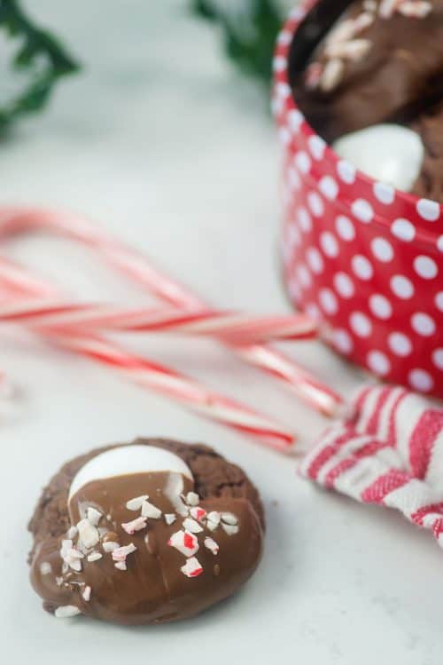 Peppermint Hot Chocolate Cookies | Buns In My Oven