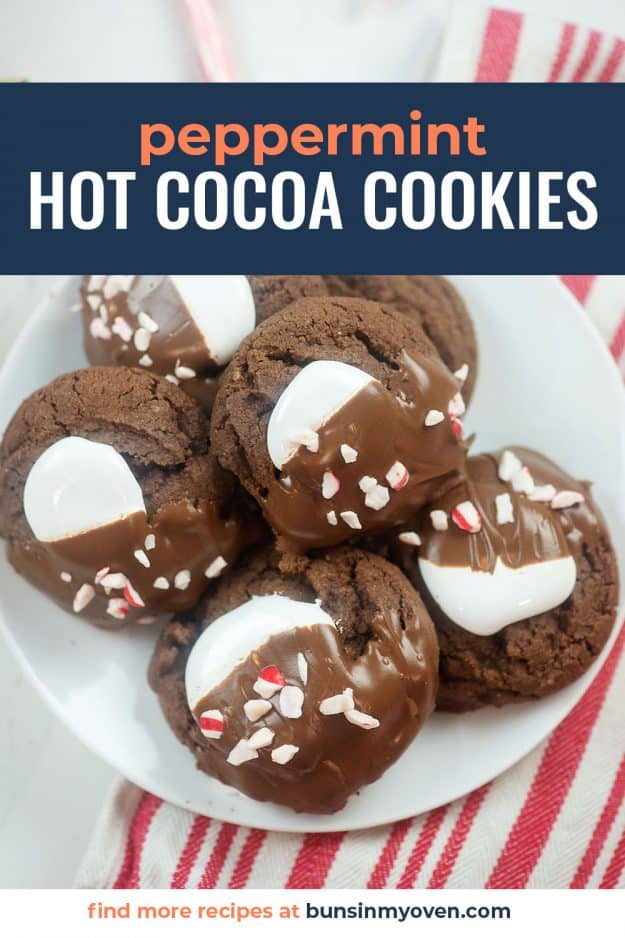 hot chocolate cookies on white plate.