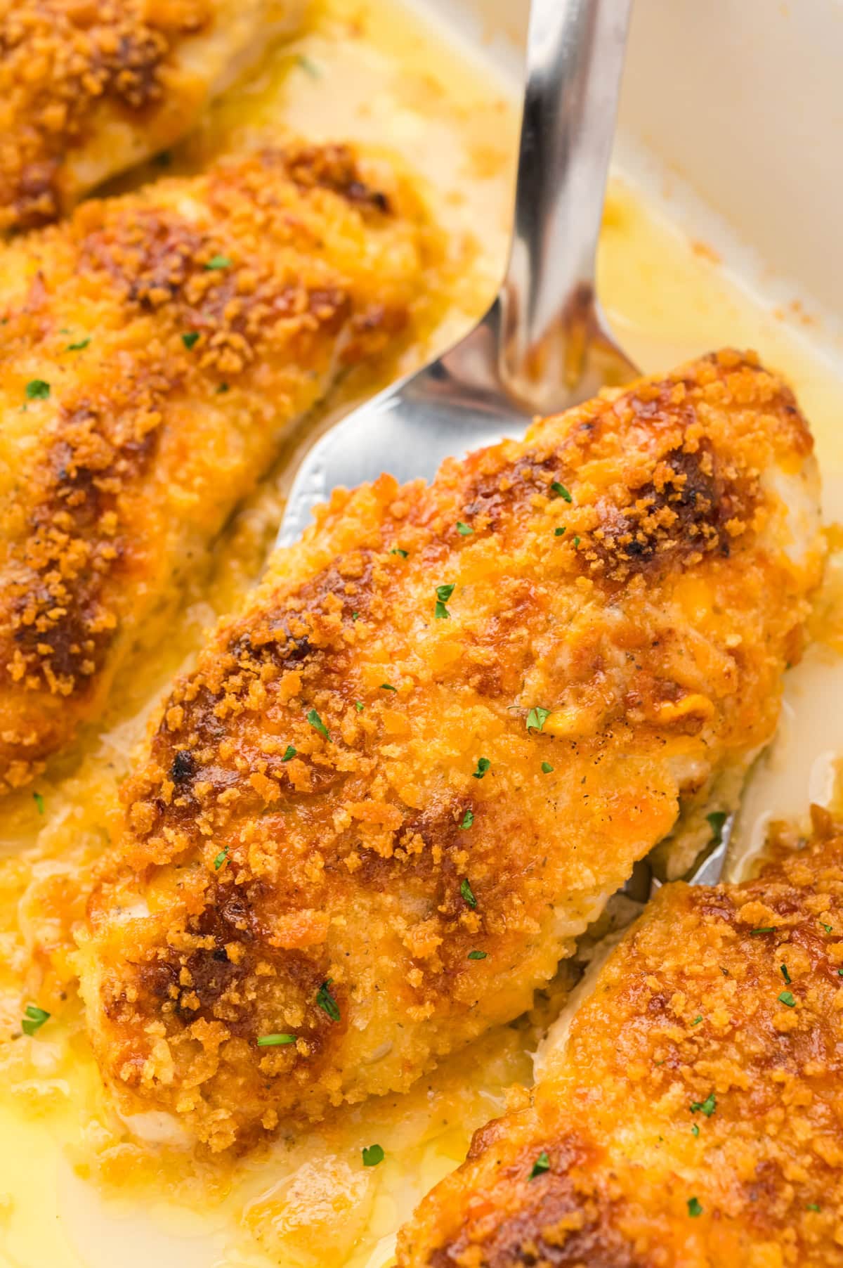Baked ranch chicken in white baking dish.