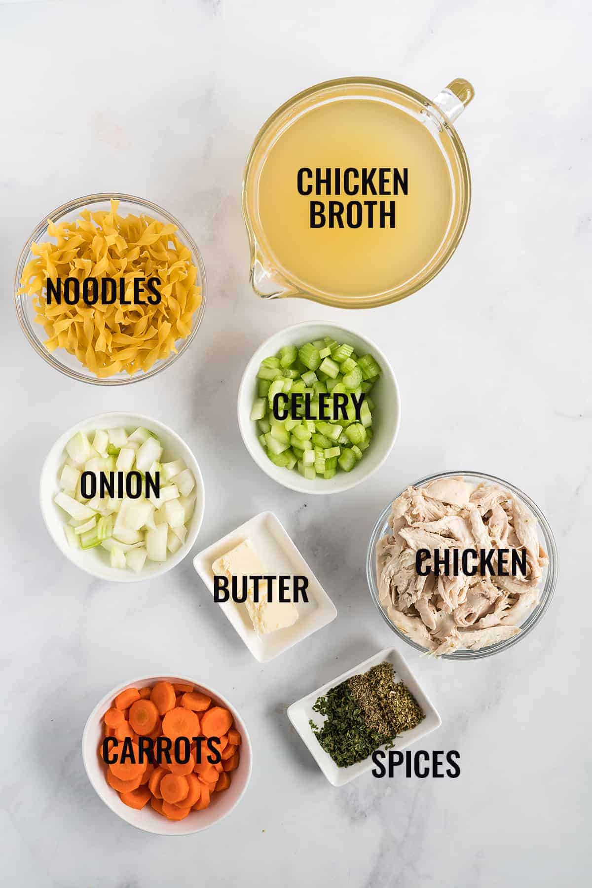 overhead view of ingredients for chicken noodle soup in the instant pot.
