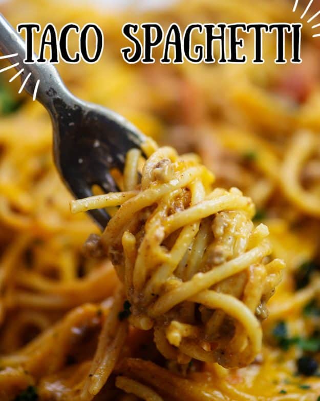 spaghetti swirled on fork.