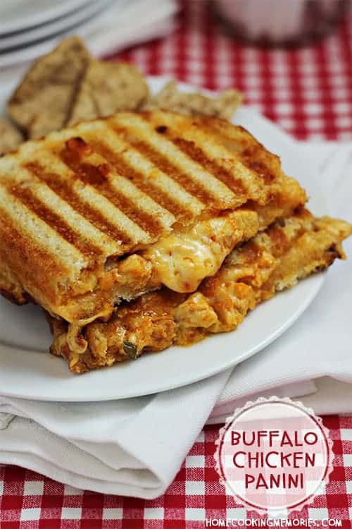 A buffalo chicken panini on a white plate resting on a table with a red and white checkerboard tablecloth.