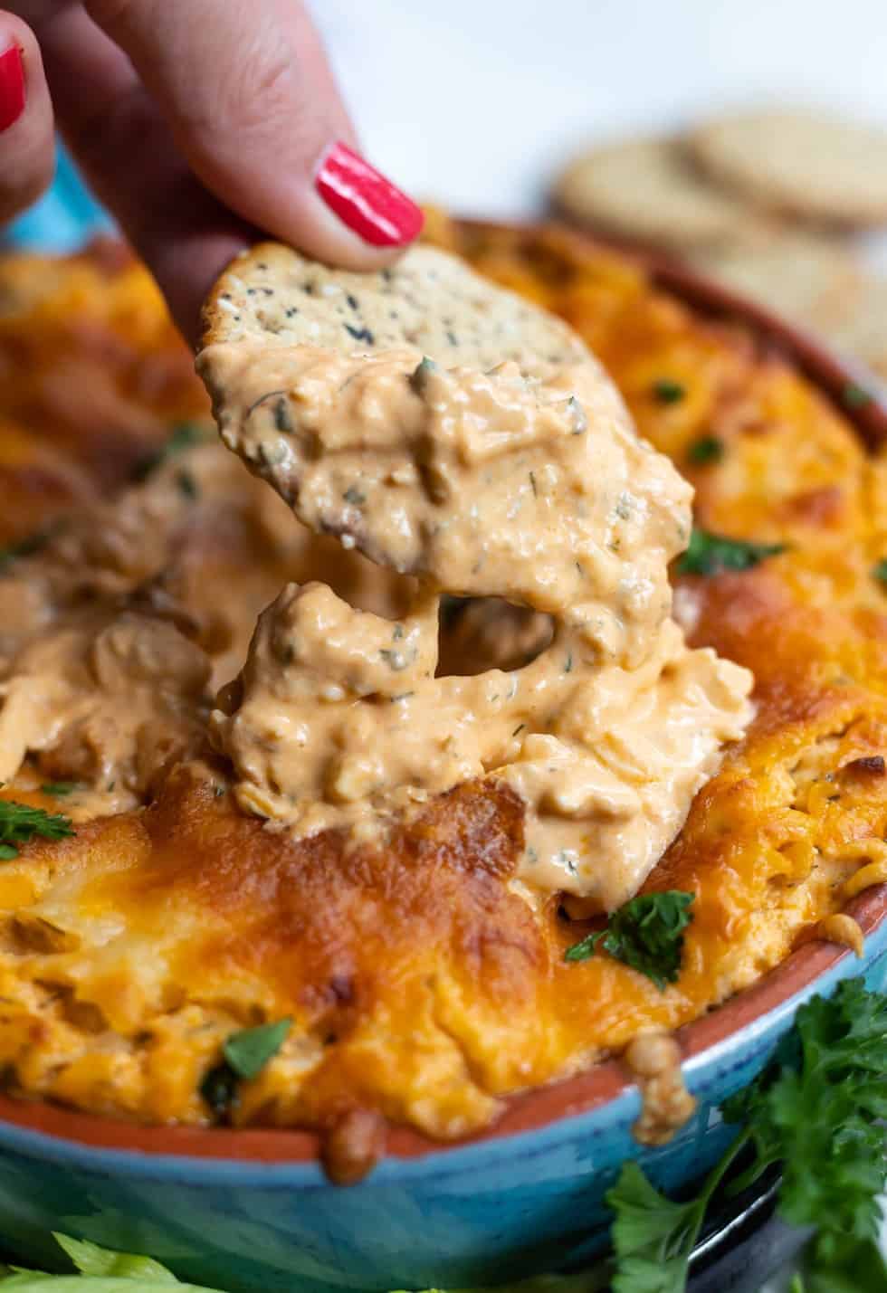 A cracker being dipped into a bowl of buffalo chicken dip.