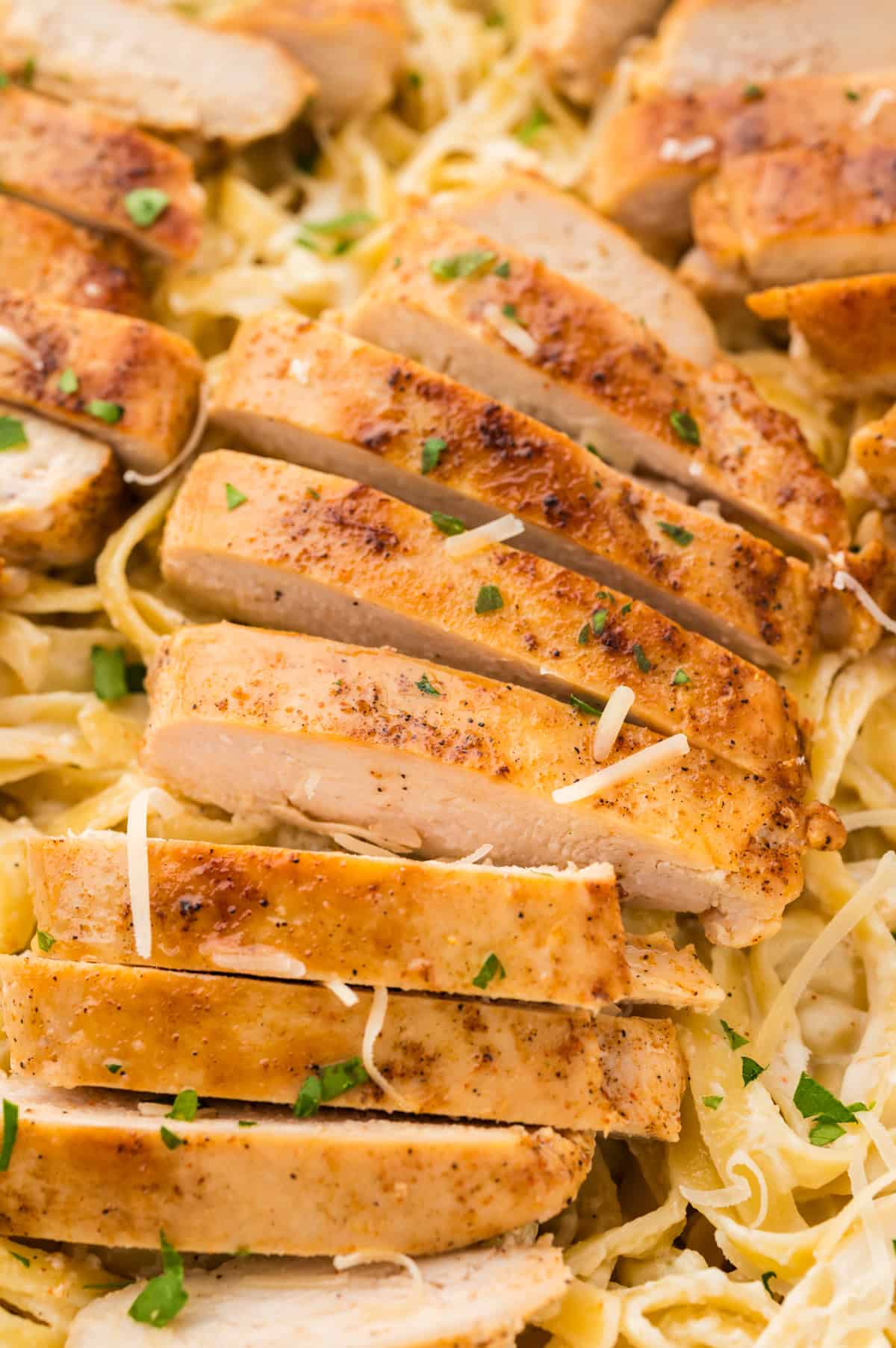 Close up of Cajun chicken alfredo.