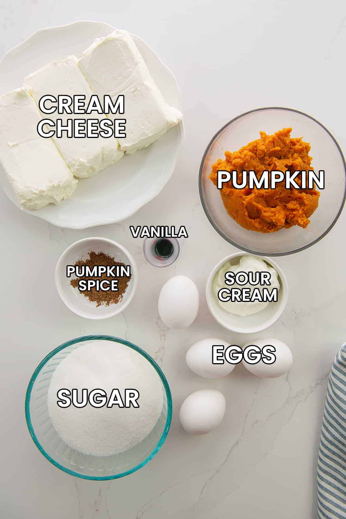 ingredients for pumpkin cheesecake bars on white counter.