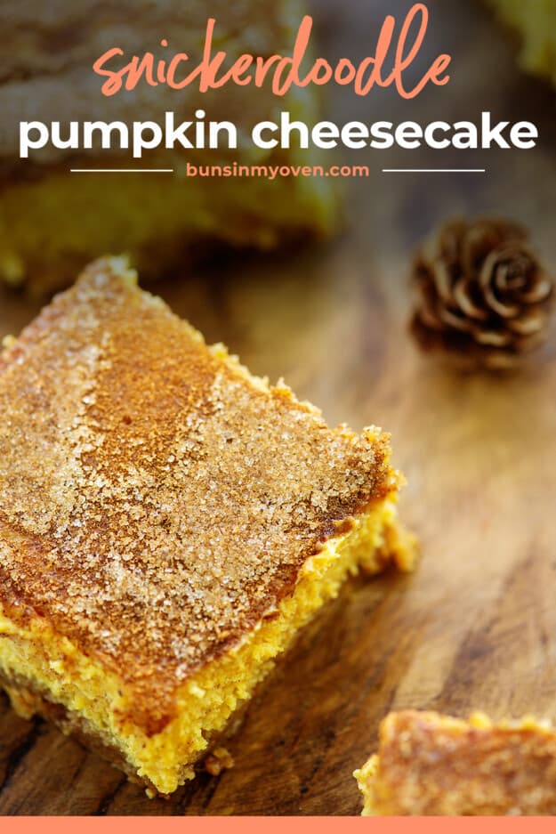 pumpkin cheesecake topped with cinnamon and sugar.