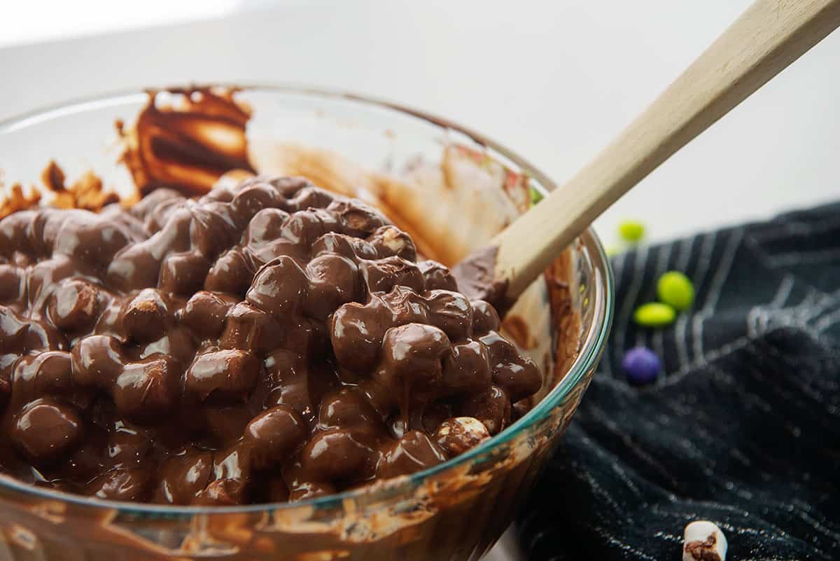 marshmallows coated in melted chocolate.