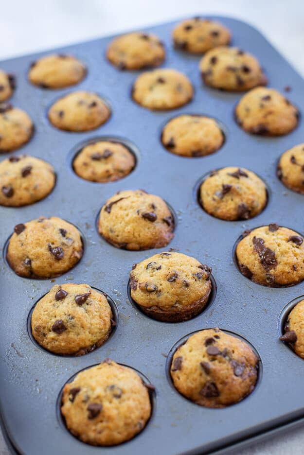 mini chocolate chip muffins in muffin tin.