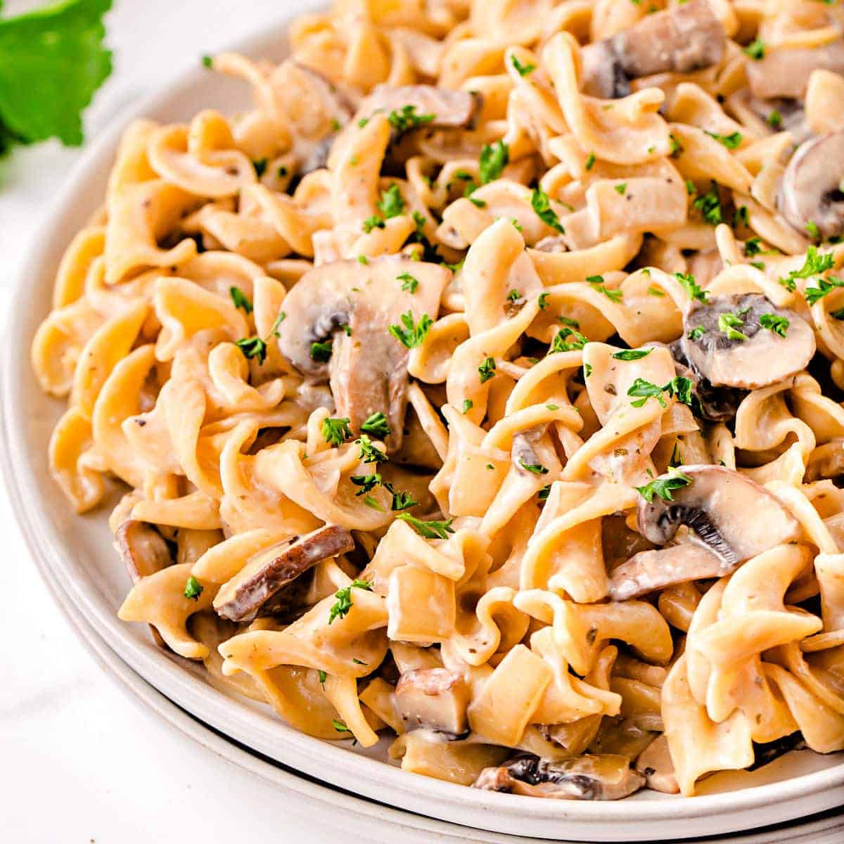 A close up view of mushroom stroganoff on a white plate.