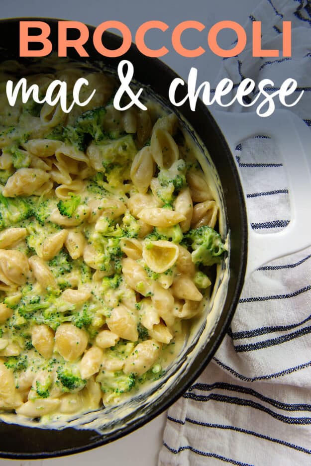 creamy shells and cheese with broccoli.