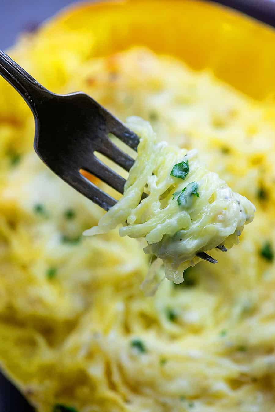 A close up view of spaghetti squash with alfredo on a fork.
