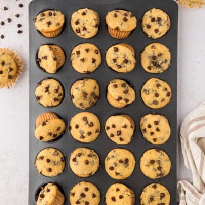 Mini chocolate chip muffins in muffin tin.
