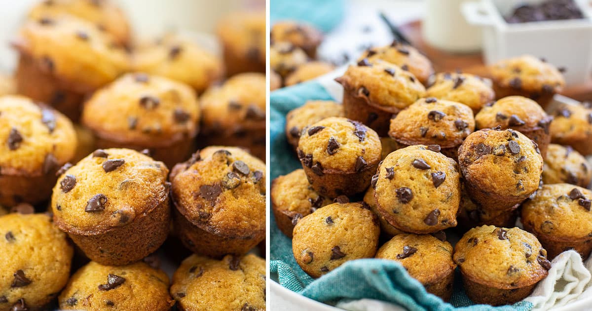 Mini Chocolate Chip Muffins — Buns In My Oven