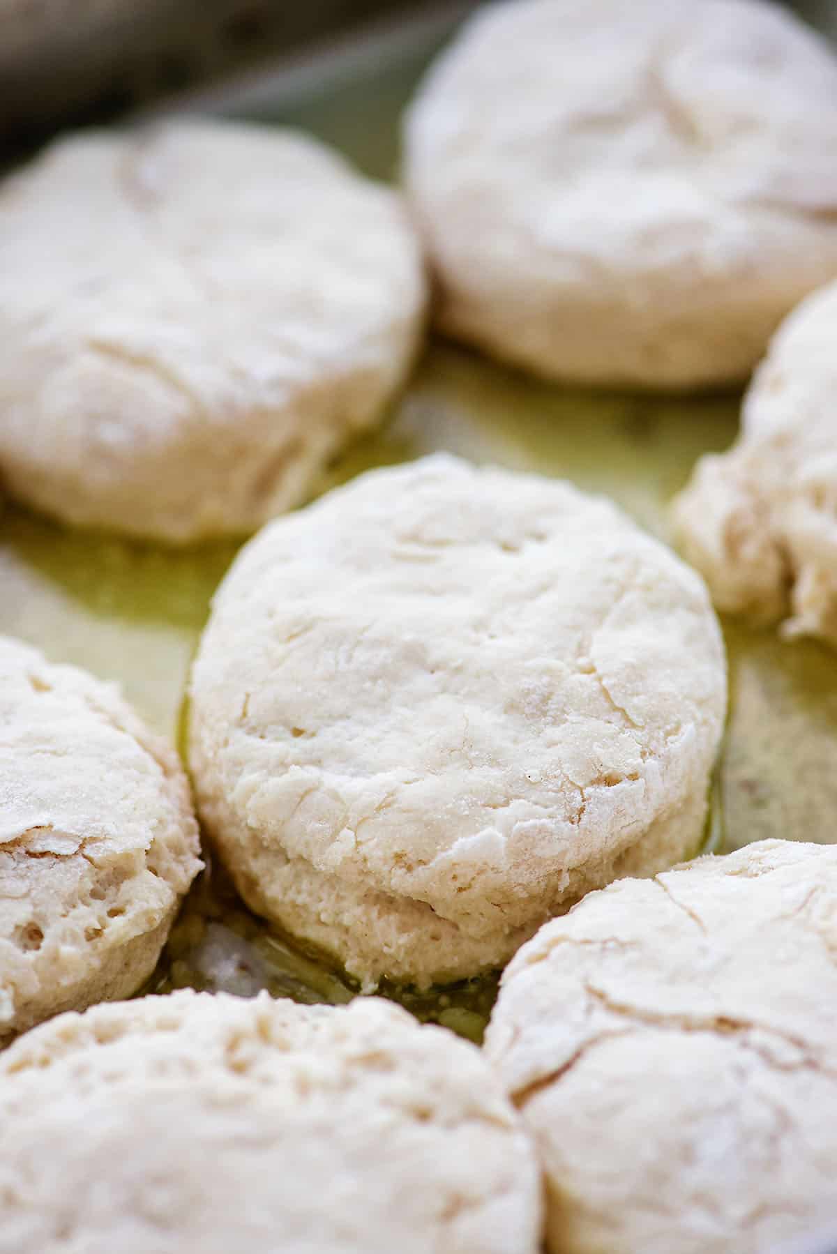 biscuit dough in buttered pan.