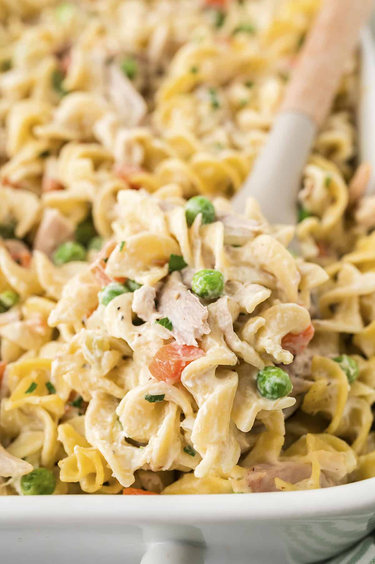 baked chicken noodle casserole in white baking dish.