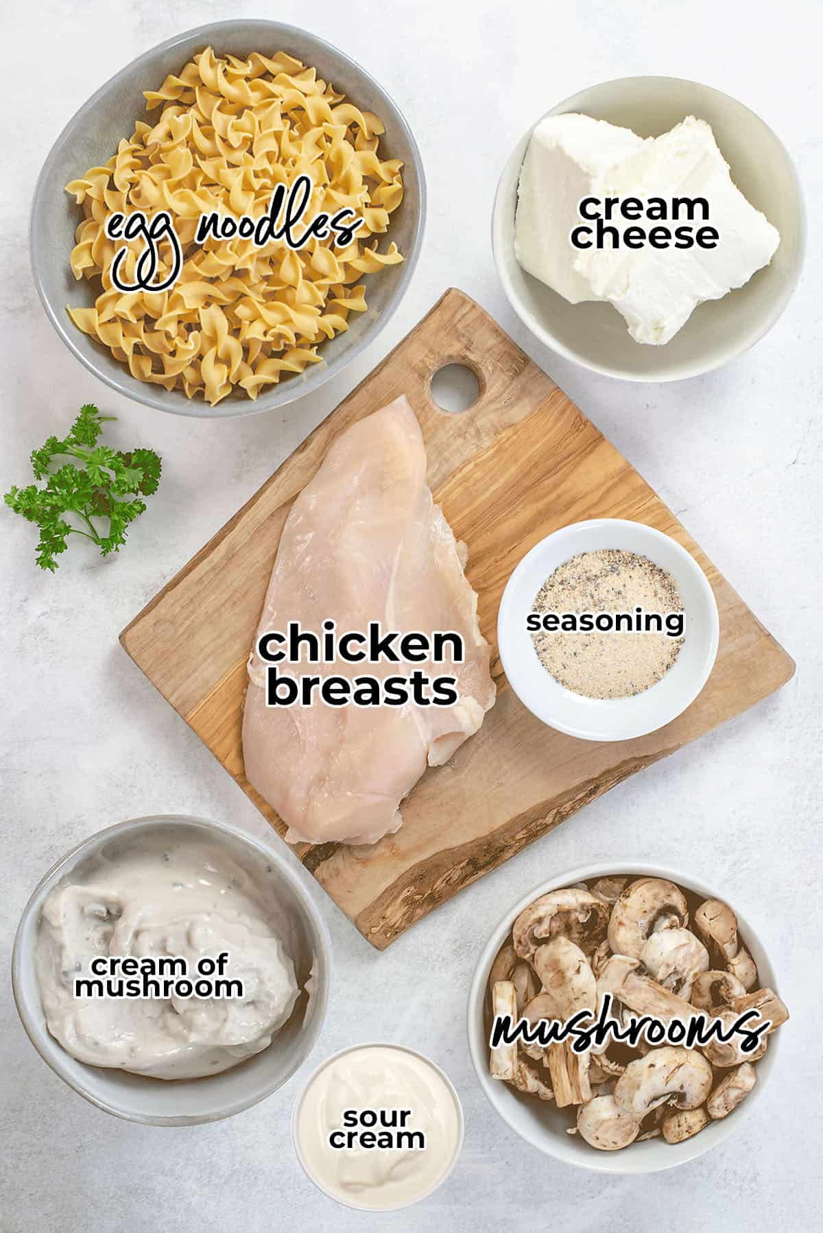 ingredients for slow cooker chicken stroganoff recipe.