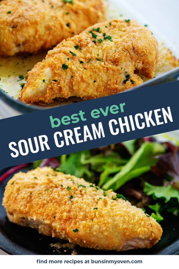collage of sour cream chicken images.