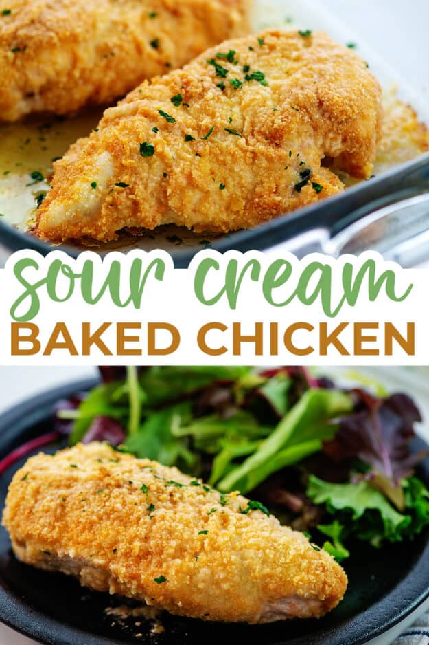 collage of sour cream chicken images with text for Pinterest.