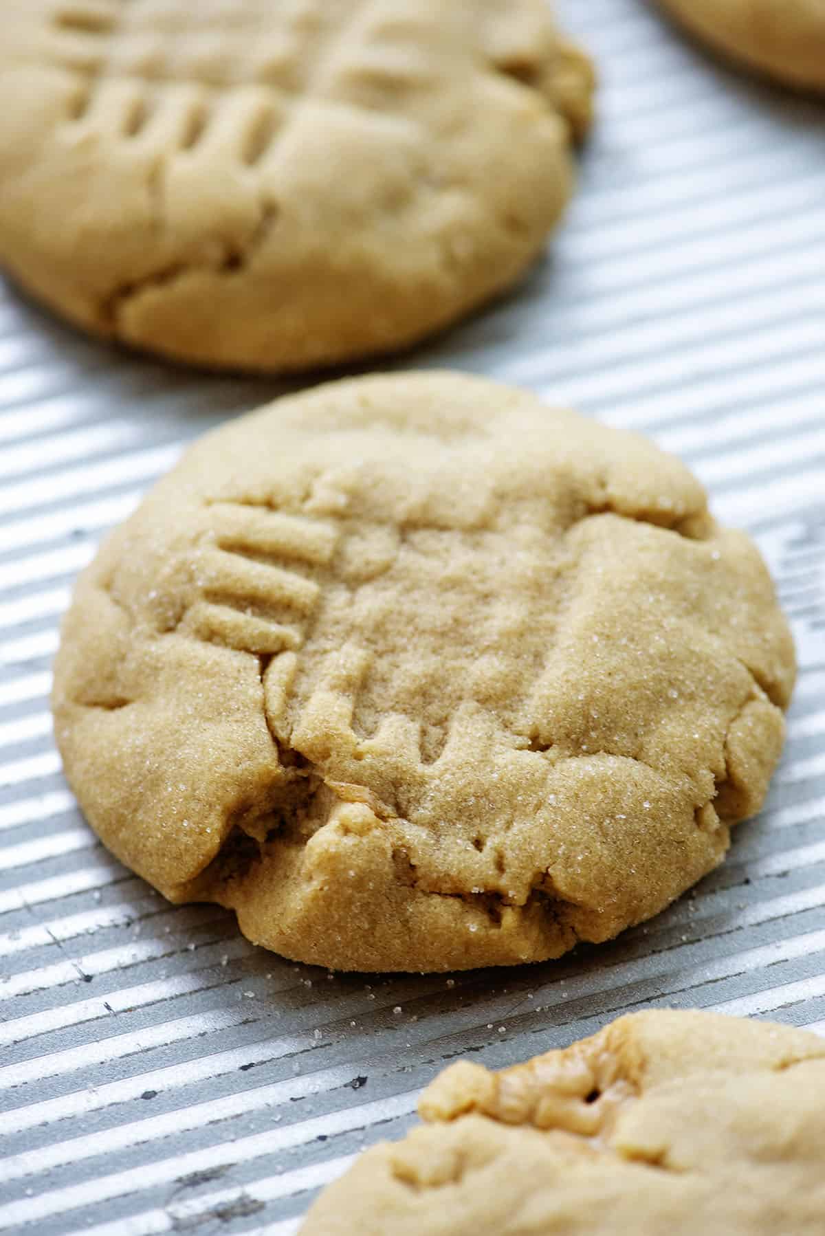 baked peanut butter cookies on cookie sheet.