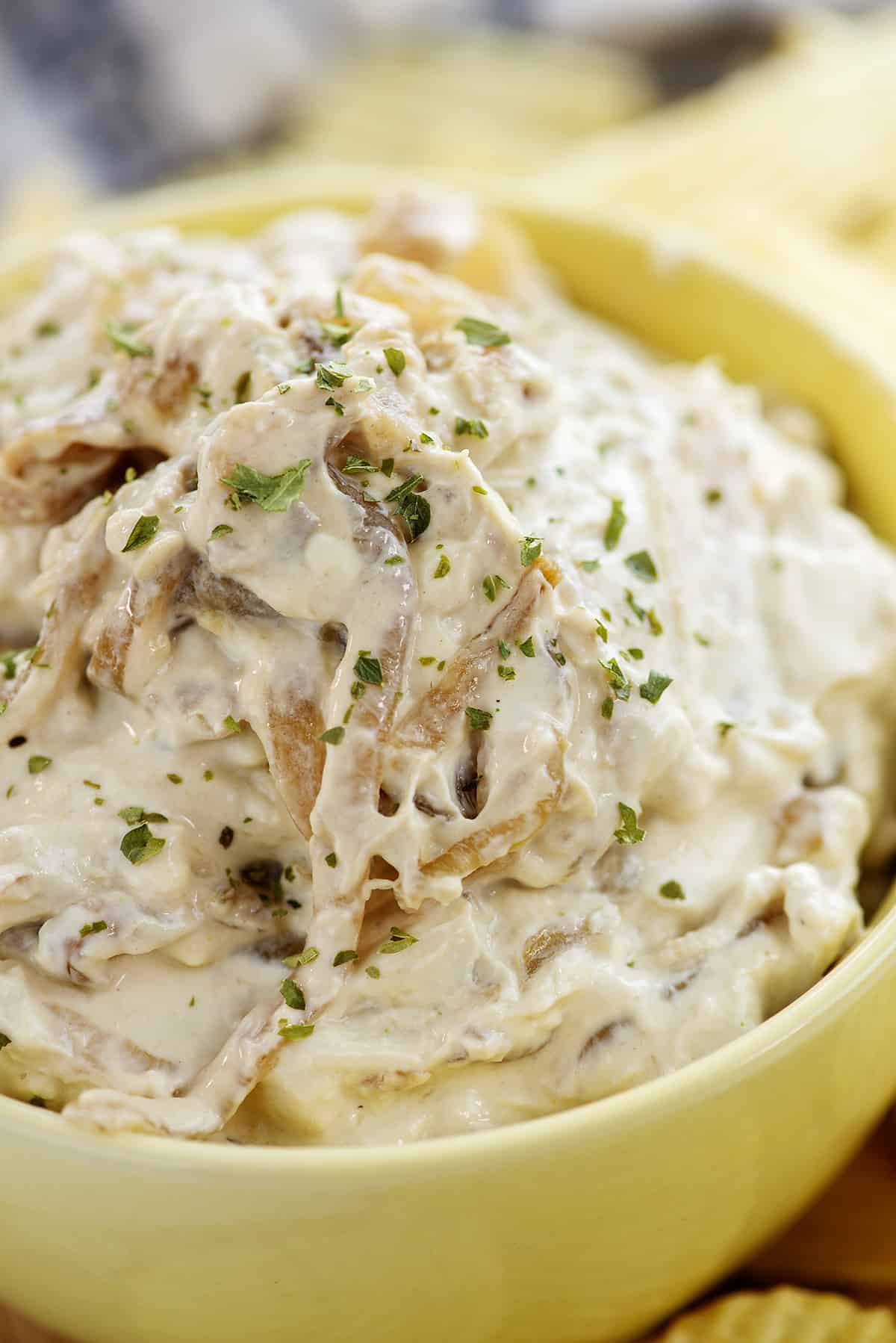 caramelized onion dip in small yellow bowl.