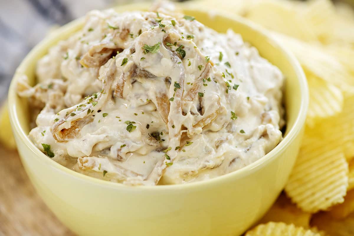Caramelized Onion Dip