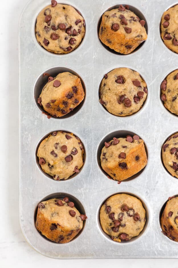 Mini banana muffins in muffin tin.