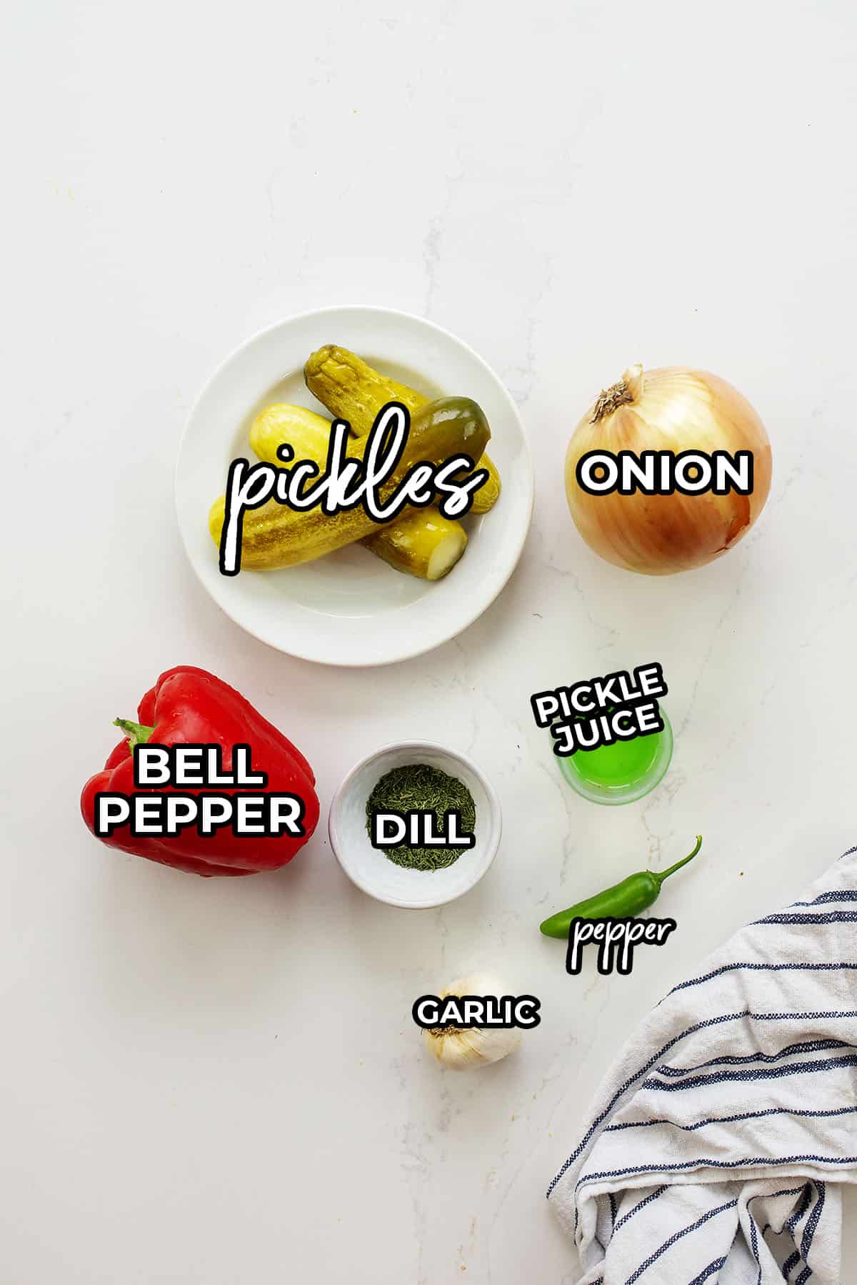 ingredients for pickle de gallo.