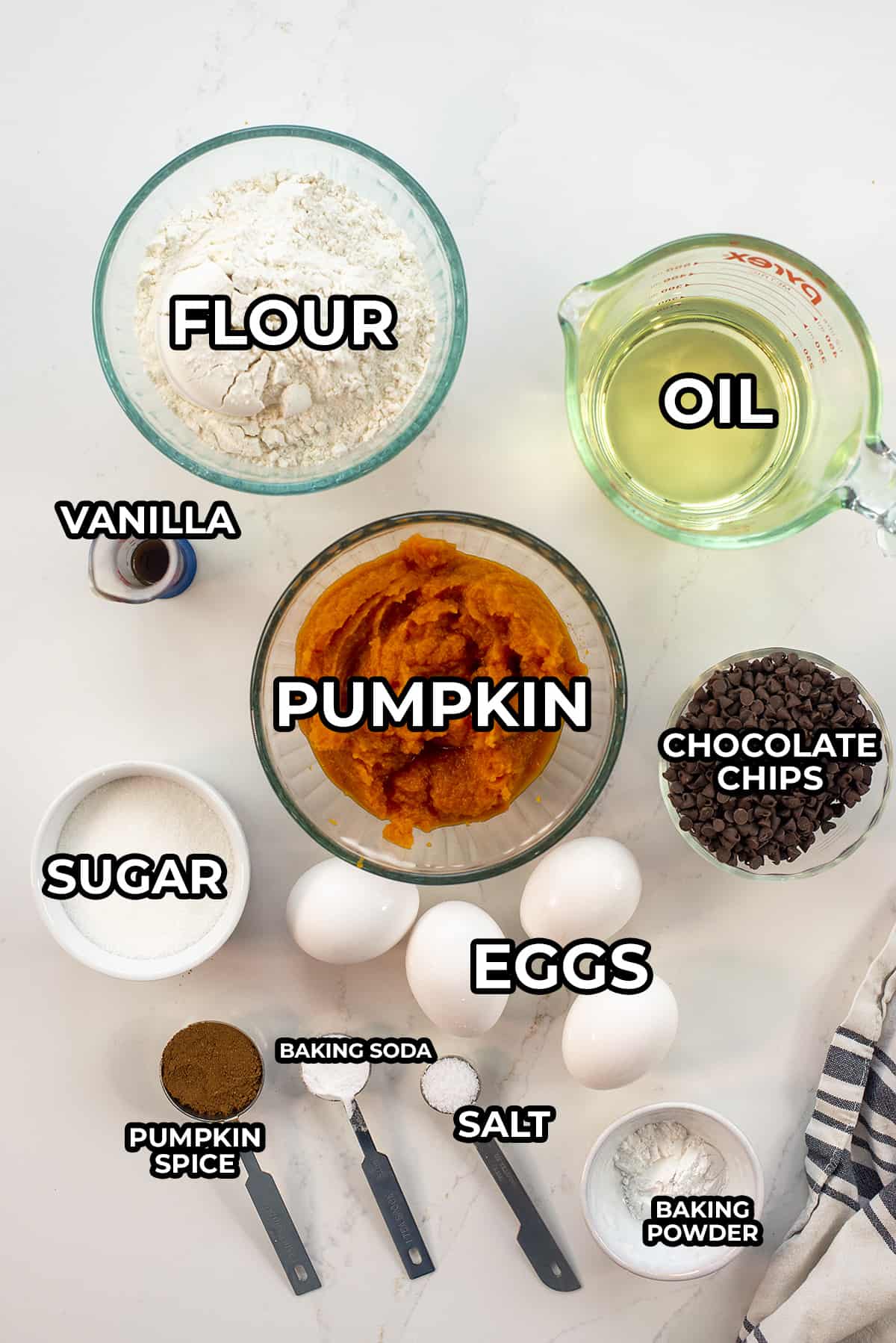 ingredients for pumpkin cake with chocolate chips.
