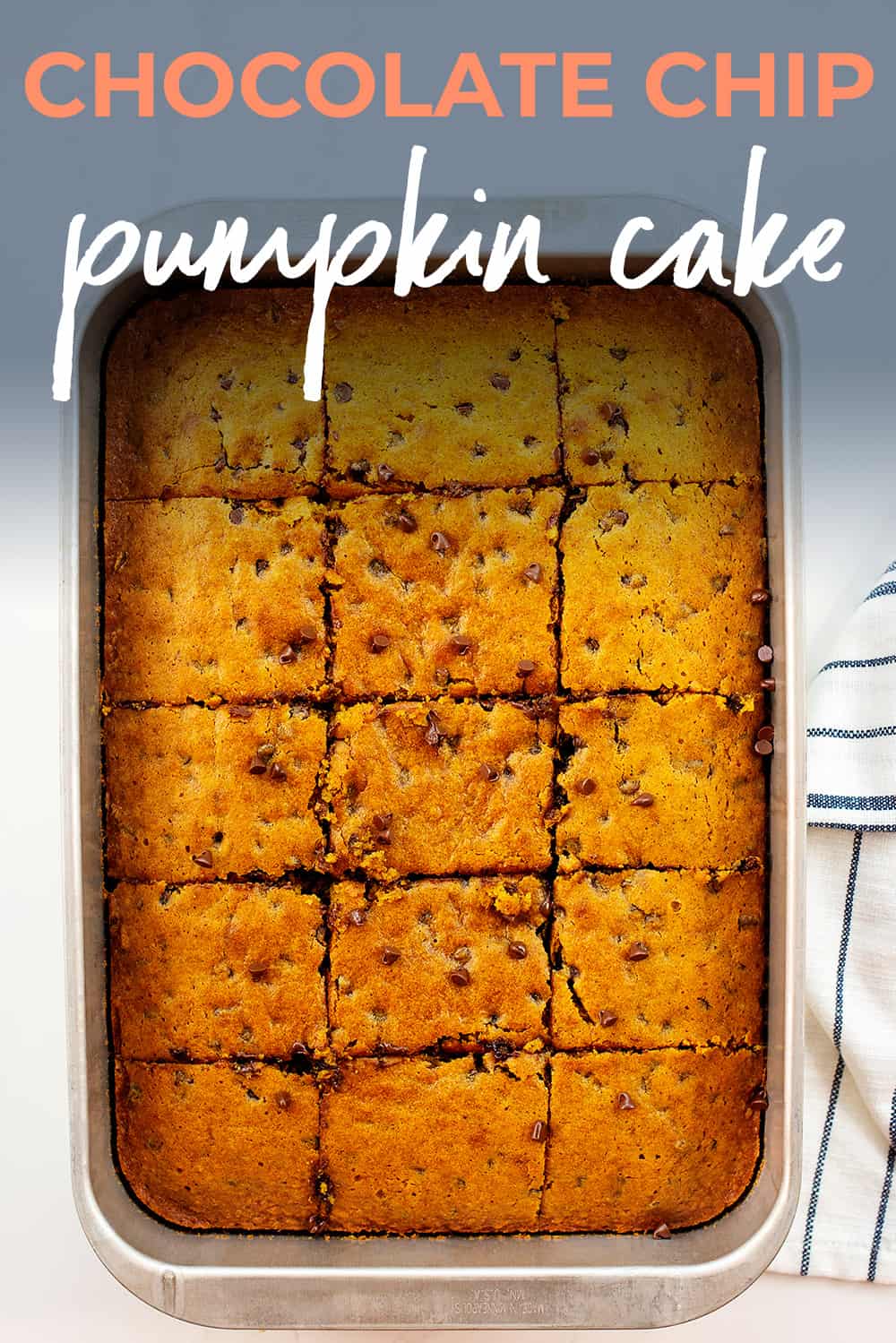 chocolate chip pumpkin cake in metal baking pan with text for Pinterest.