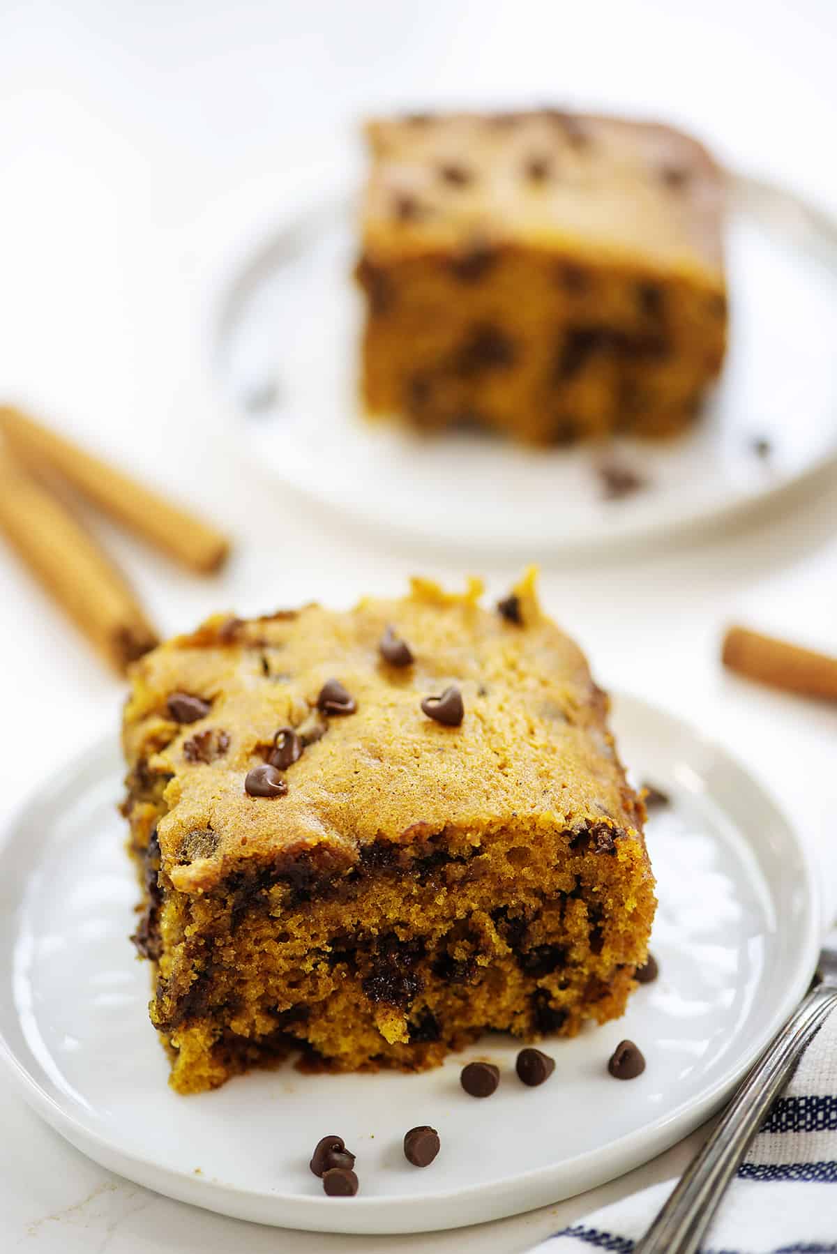 pumpkin chocolate chip cake on small white plate.