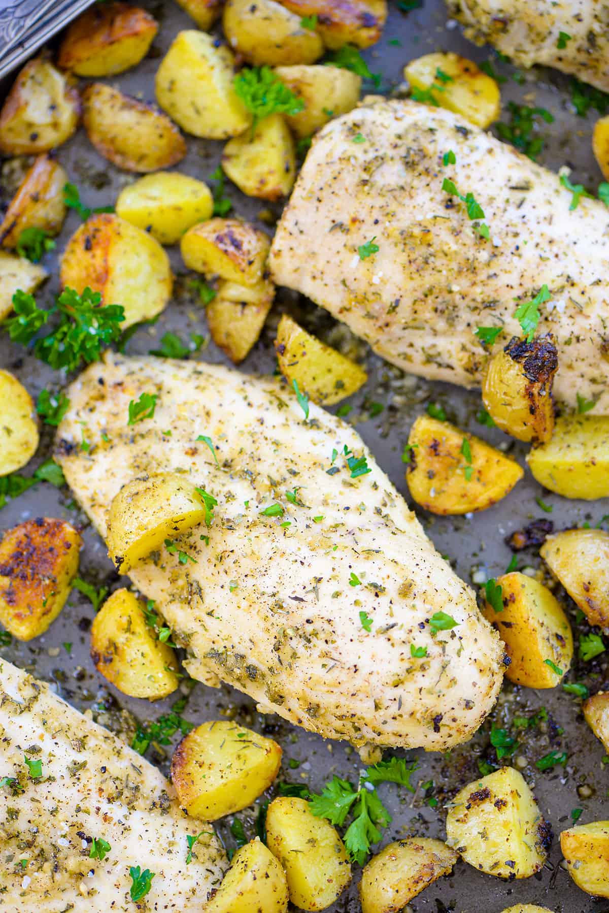 sheet pan chicken and potatoes on baking sheet.