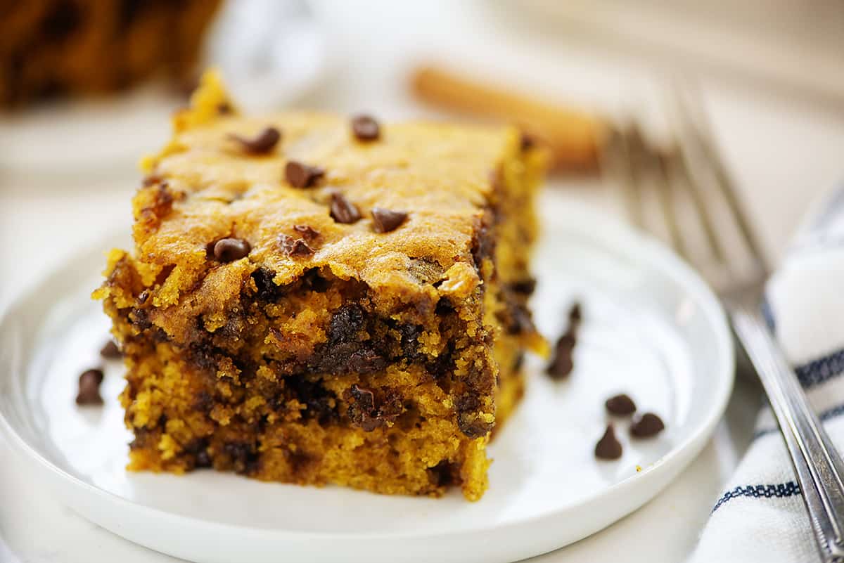 Pumpkin Chocolate Chip Cake