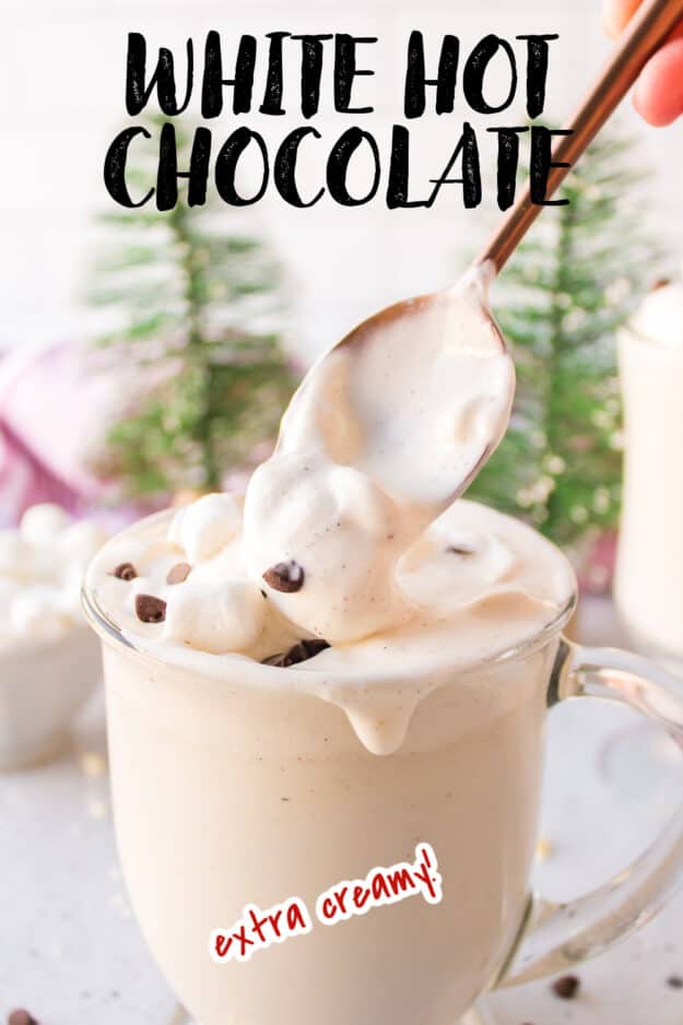 Hot Chocolate in mug with text for pinterest.