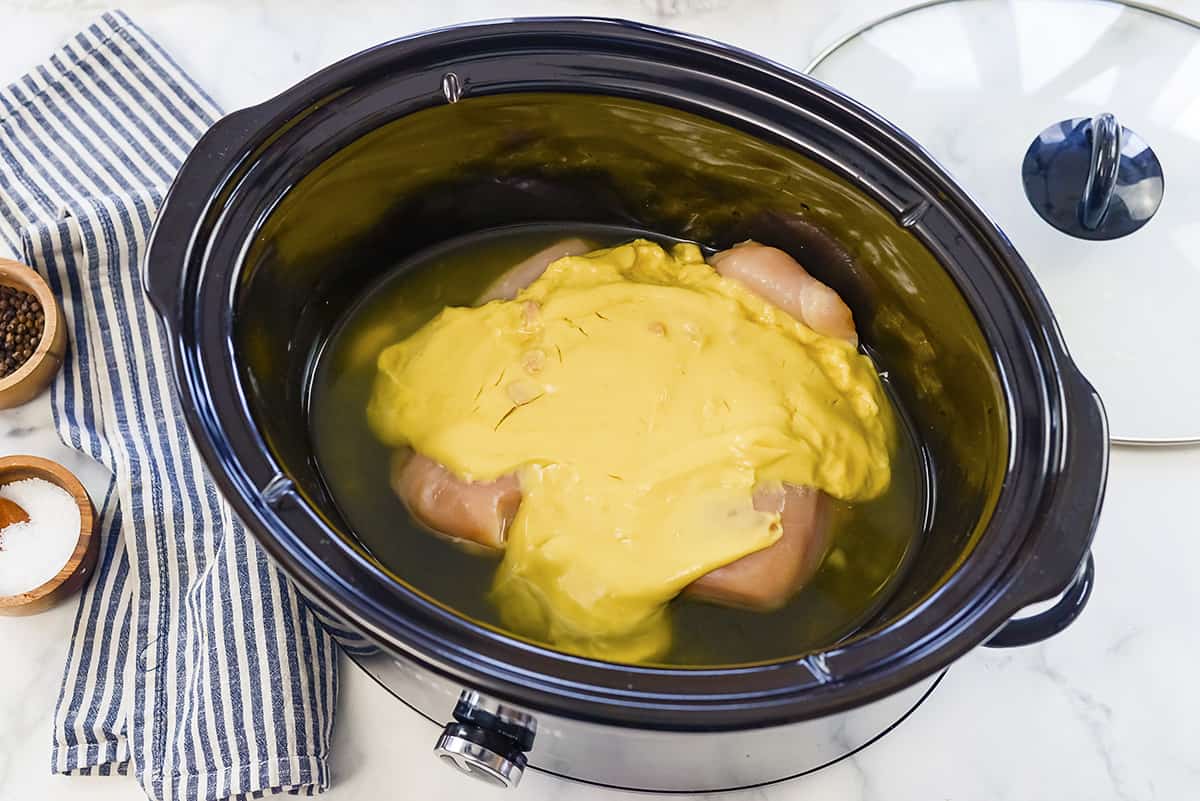 Chicken and soup in crockpot.