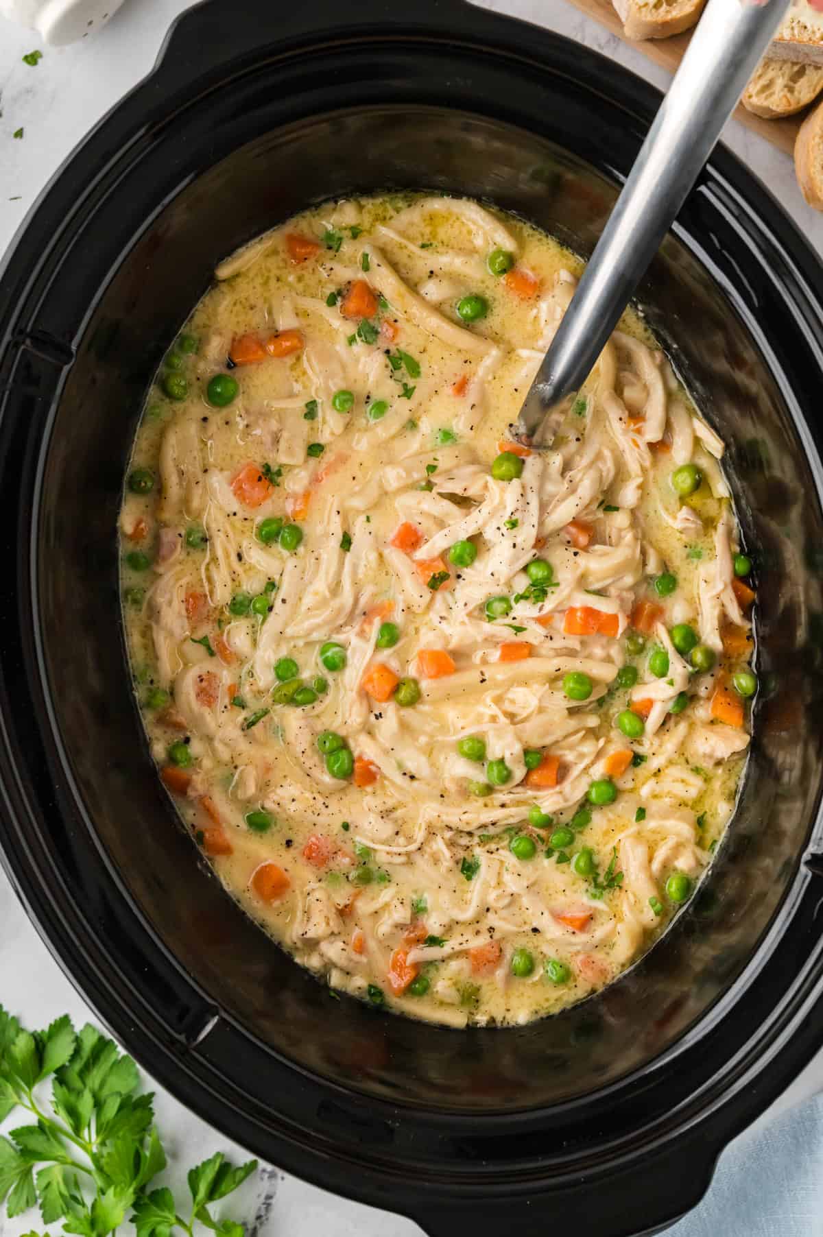 Overhead view of chicken and noodles in crockpot.