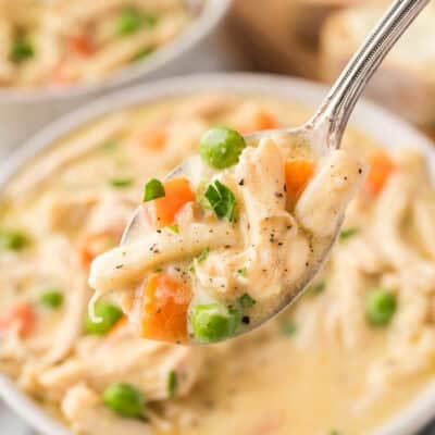 Spoonful of creamy chicken noodle recipe.