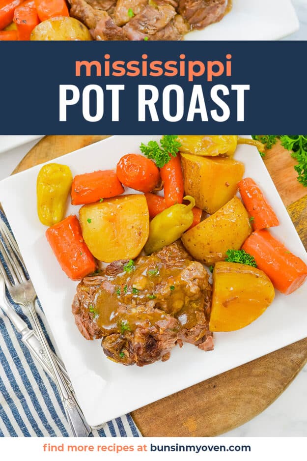 Pot roast on white plate.