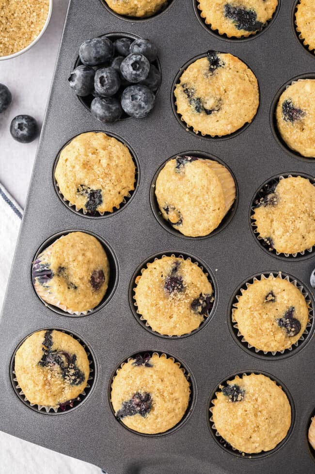 Mini Blueberry Muffins | Buns In My Oven