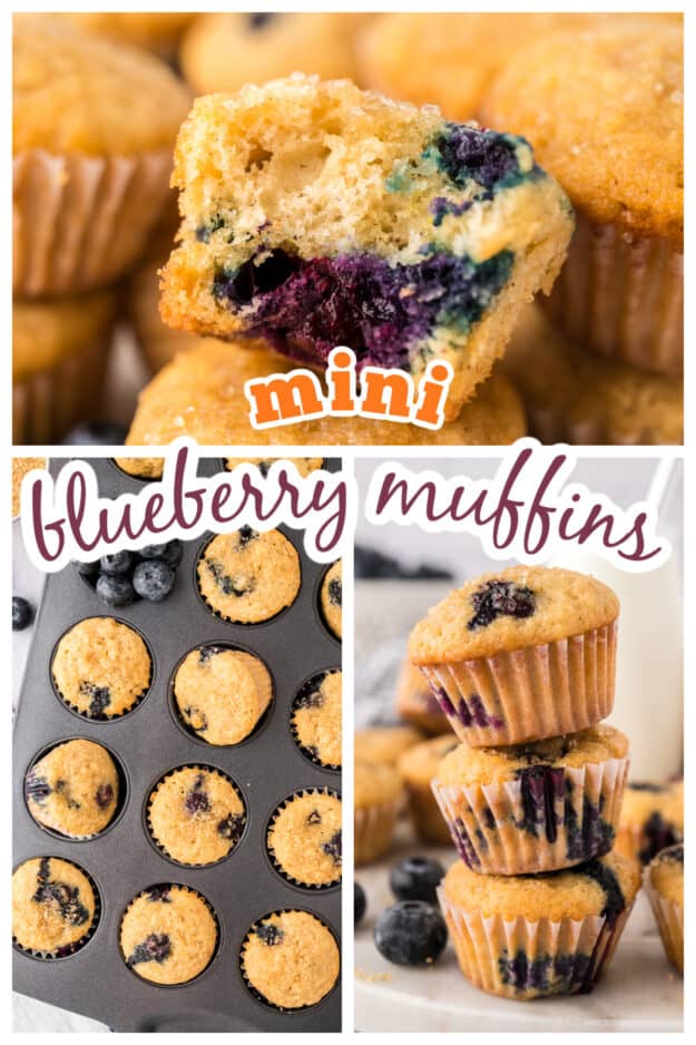 Collage of mini blueberry muffin images.
