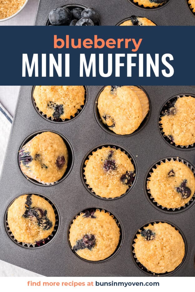 Mini blueberry muffins in muffin tin with text for Pinterest.