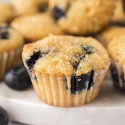 Blueberry muffins on white plate.