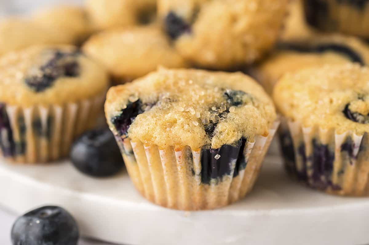 Mini Blueberry Muffins
