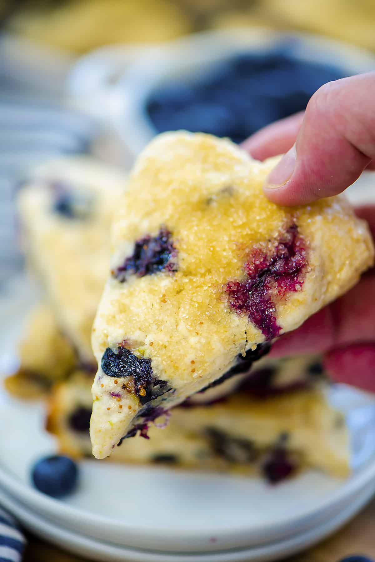 Hand holding a blueberry scone.