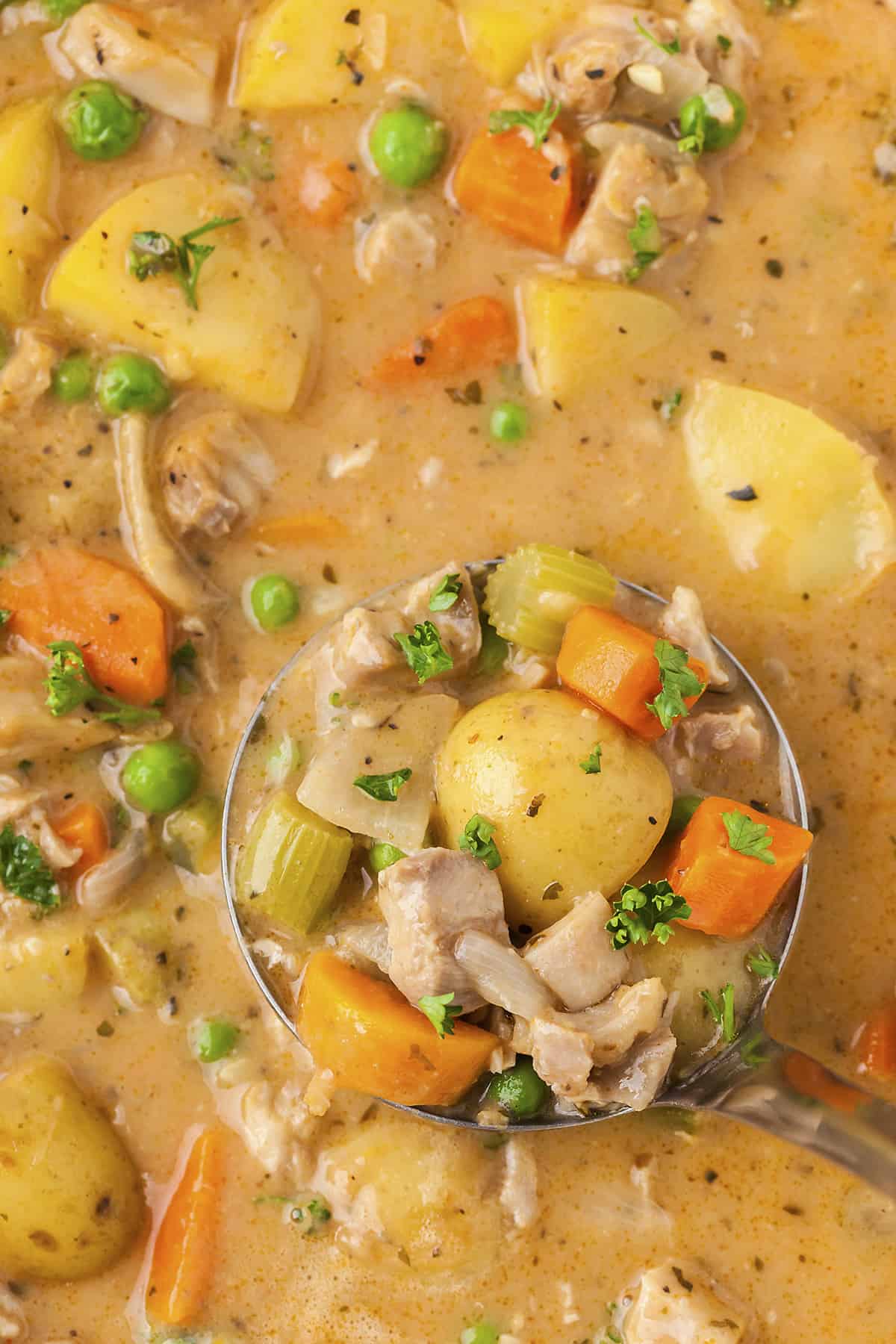 Chicken stew in ladle.