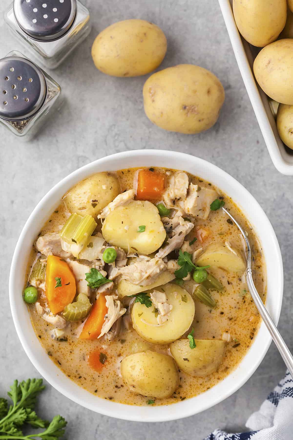 Overhead view of bowl of chicken stew.