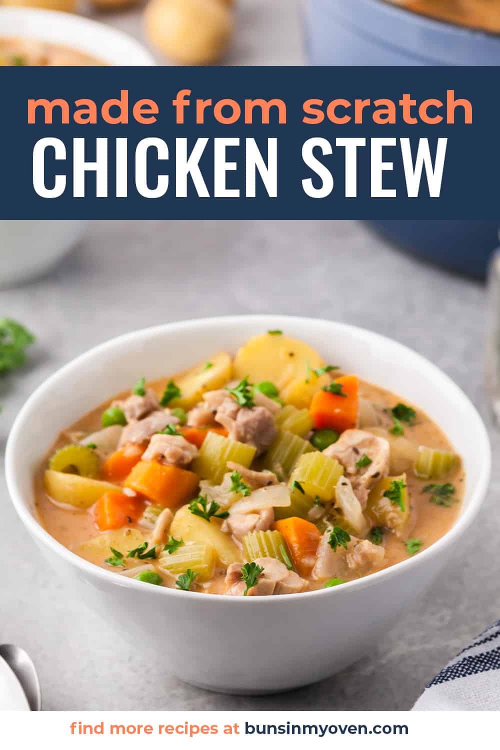 Bowl full of homemade chicken stew.