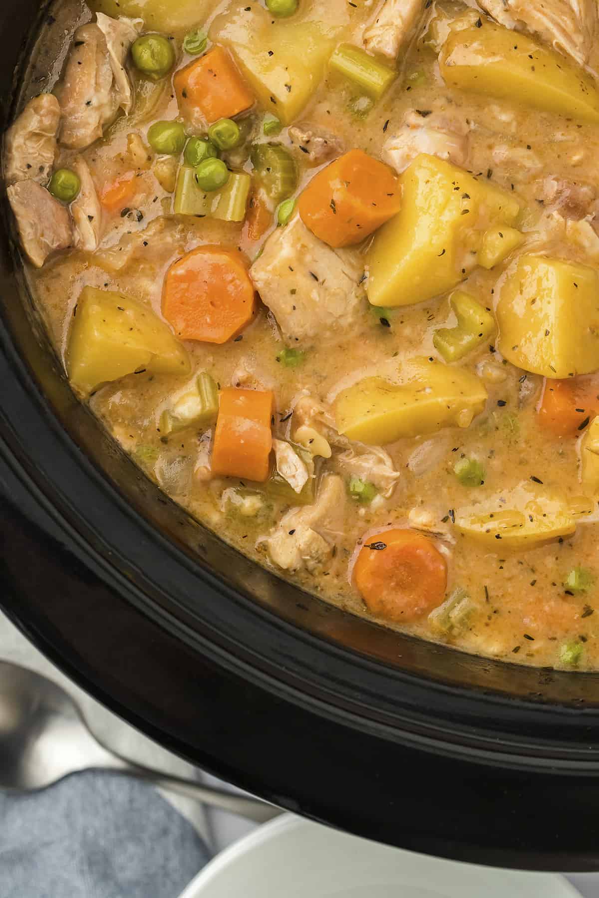 Chicken stew in crockpot.