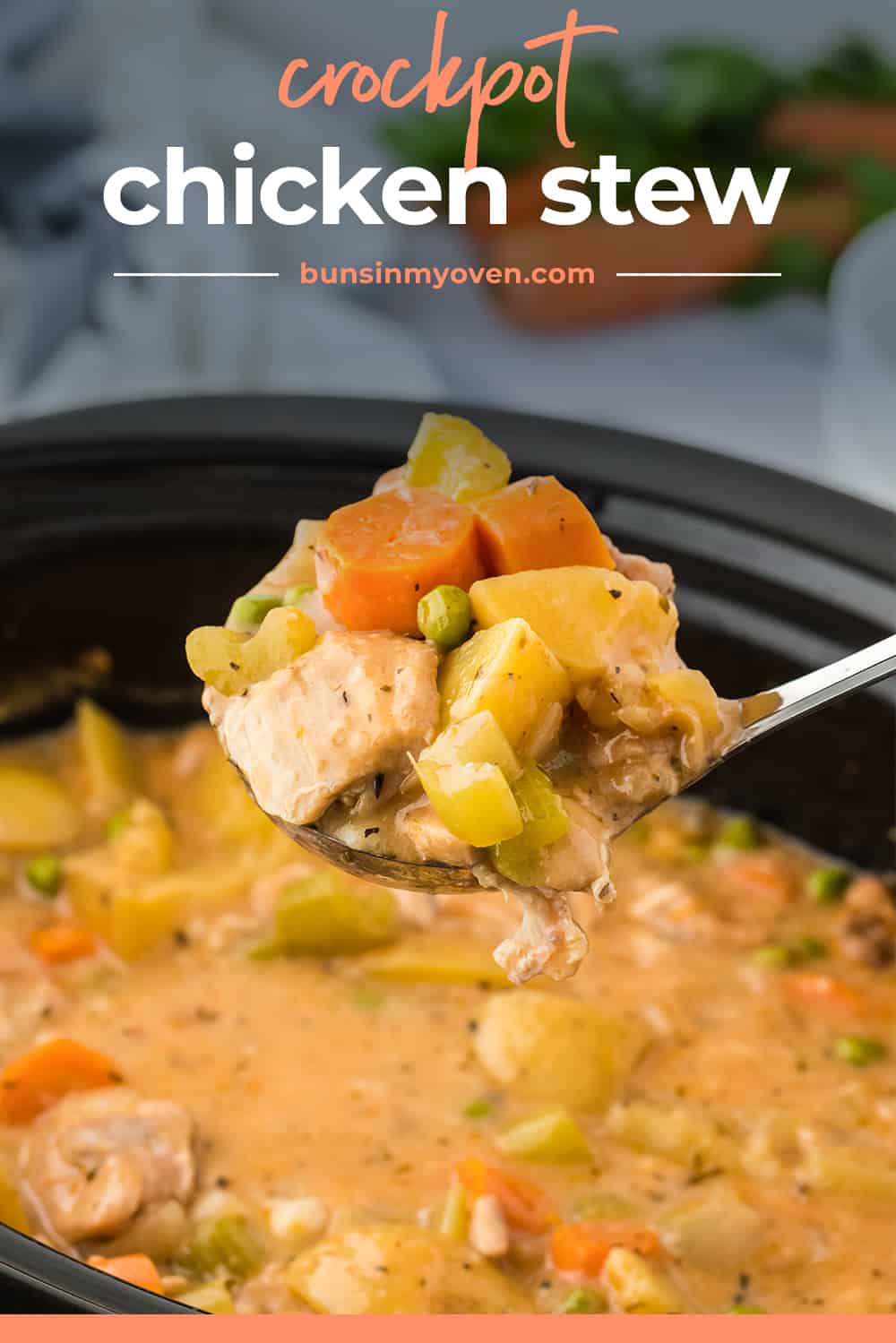 KitchenAid Slow Cooker Spicy Chicken Stew Recipe