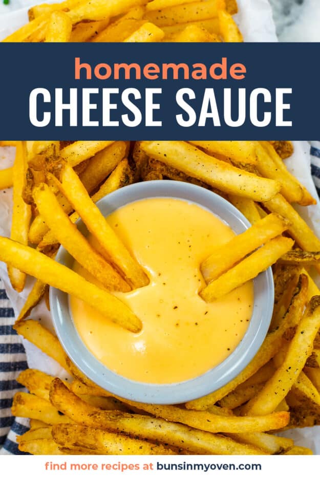 French fries in bowl of cheese sauce.
