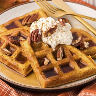 Pumpkin waffles on small plate.